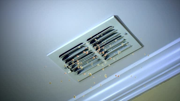 Best Air Duct Inspection  in Riverbend, WA
