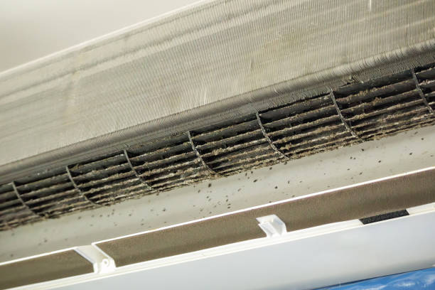 Best Air Duct Cleaning Near Me  in Riverbend, WA